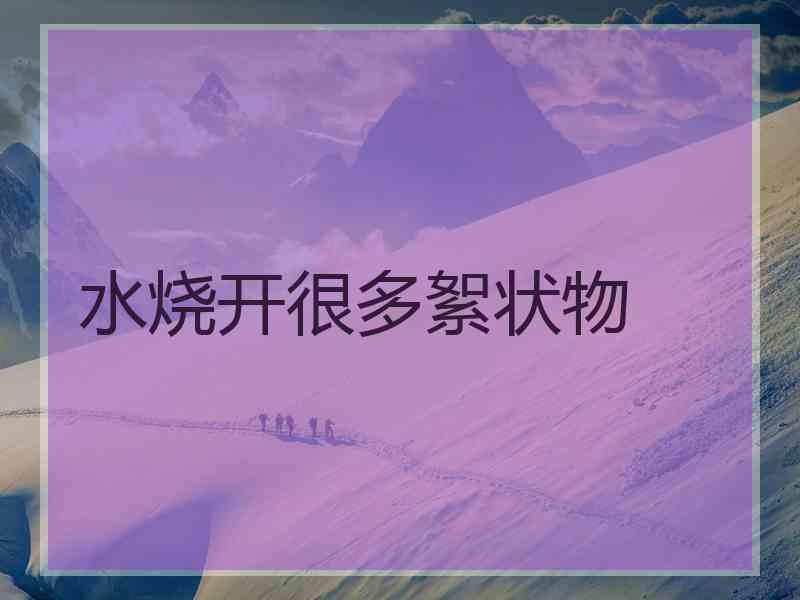 水烧开很多絮状物