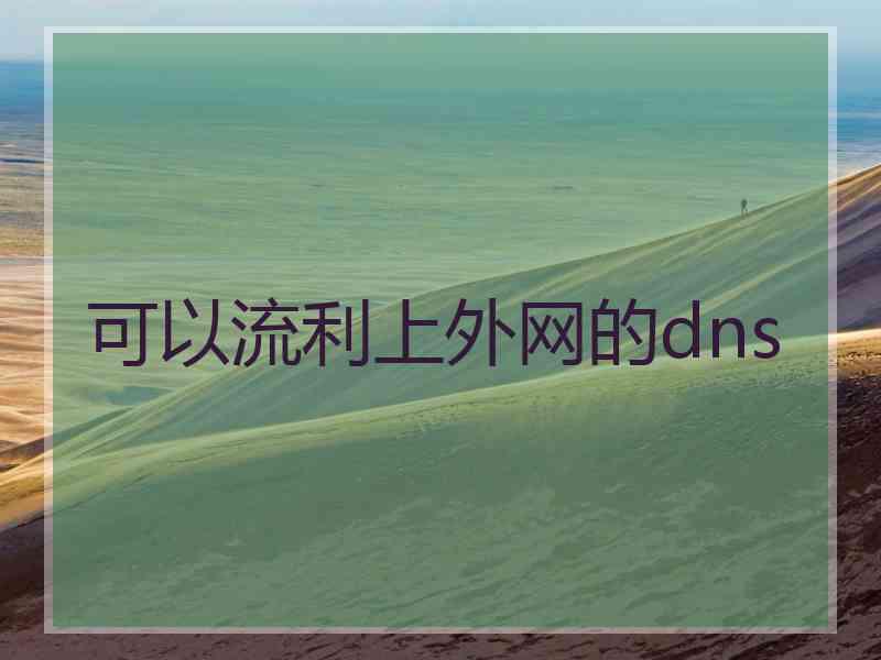 可以流利上外网的dns