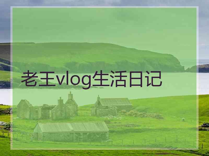 老王vlog生活日记