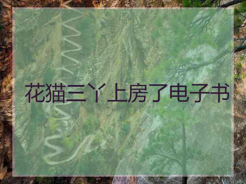 花猫三丫上房了电子书