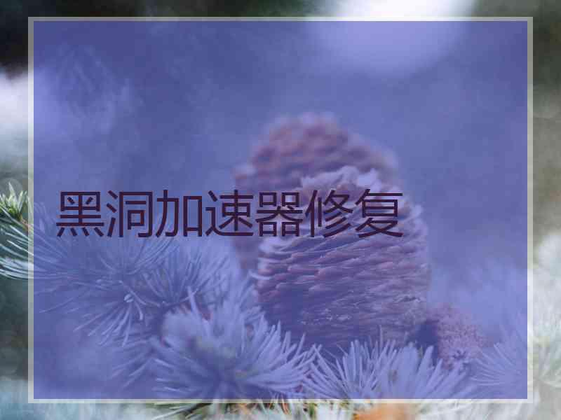 黑洞加速器修复
