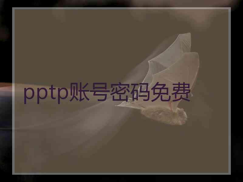 pptp账号密码免费