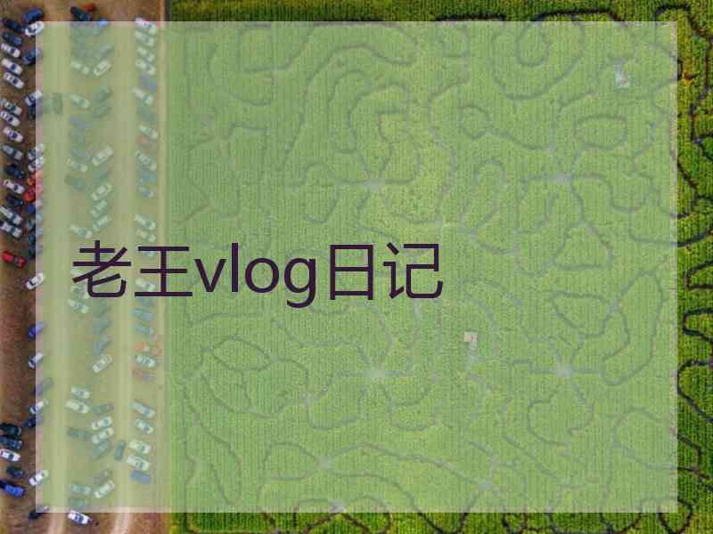 老王vlog日记